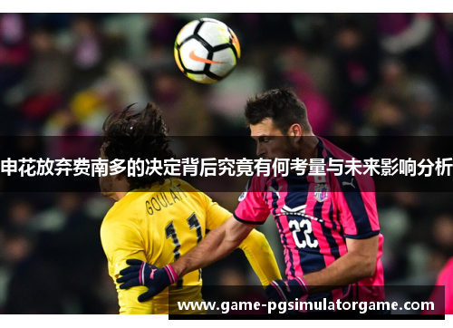 申花放弃费南多的决定背后究竟有何考量与未来影响分析