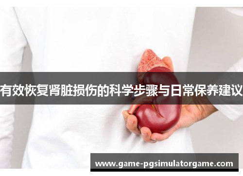 有效恢复肾脏损伤的科学步骤与日常保养建议